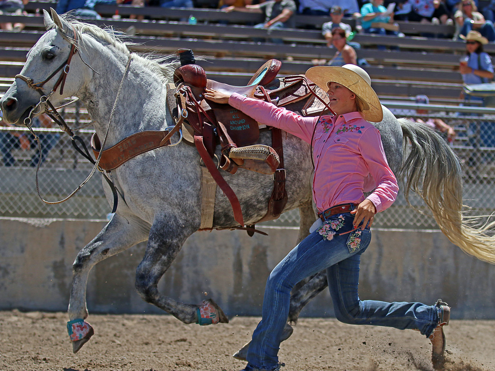 Arlee Morrison